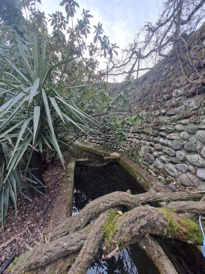 Gite 5 "Le Laurus" Aux Magnolias أوبينا المظهر الخارجي الصورة
