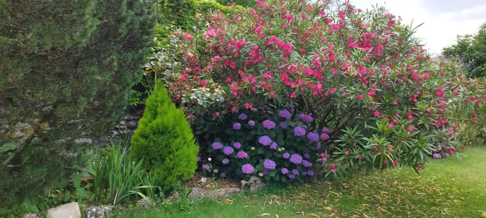 Gite 5 "Le Laurus" Aux Magnolias أوبينا المظهر الخارجي الصورة