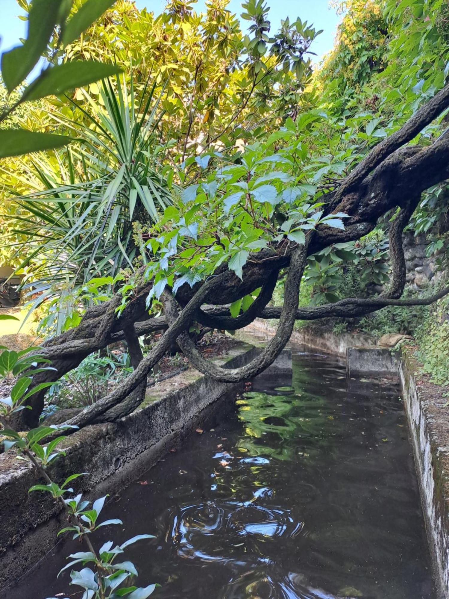 Gite 5 "Le Laurus" Aux Magnolias أوبينا المظهر الخارجي الصورة